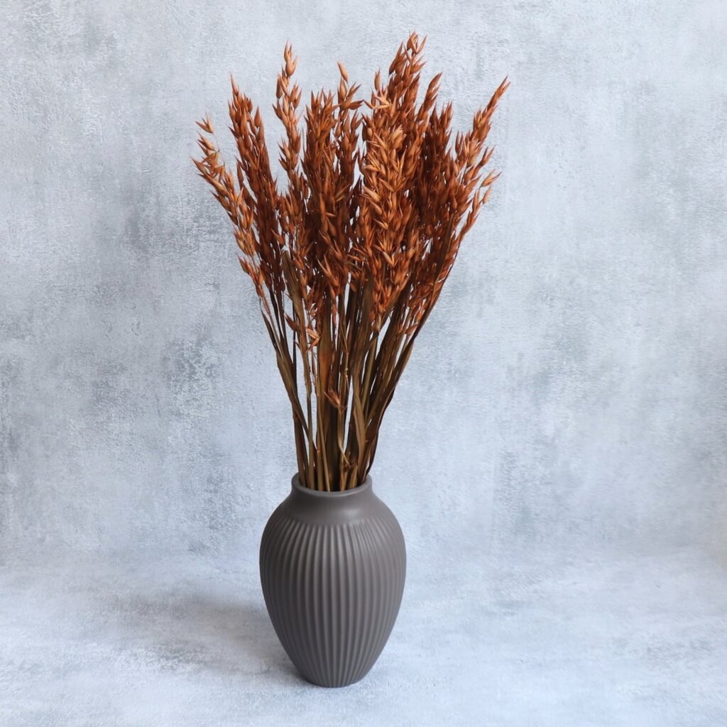 Sušená Avena (Oves) terracotta - dekorativní přírodní tráva v teplých tónech